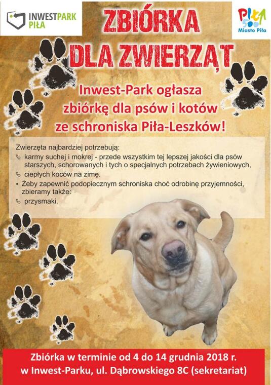 Jak Napisać Ogłoszenie O Zbiórce Karmy Dla Zwierząt Ze Schroniska Zbiórka karmy i koców dla psów w schronisku - Portal asta24.pl - Piła