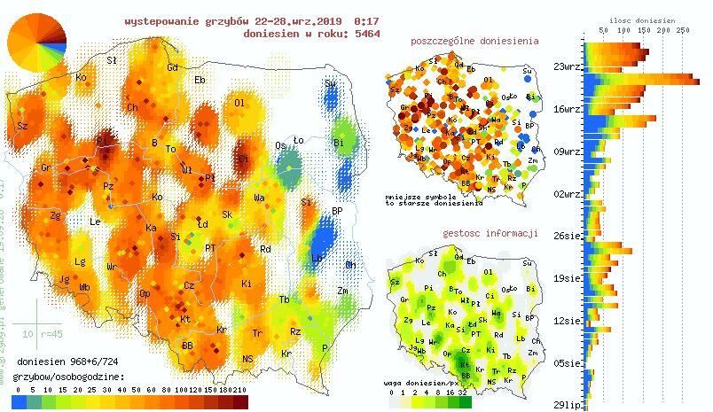 wysyp grzybów grzyby mapa Gdzie Na Grzyby Sprawdz Mape Ich Wystepowania Portal Asta24 Pl Pila Informacje I Wydarzenia wysyp grzybów grzyby mapa wysyp grzybów grzyby mapa Gdzie Na Grzyby Sprawdz Mape Ich Wystepowania Portal Asta24 Pl Pila Informacje I Wydarzenia wysyp grzybów grzyby mapa