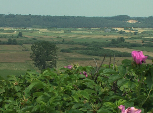 Muzeum Doliny Noteci w Ujściu ? - grafika