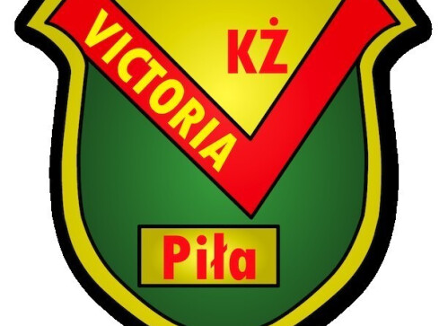 Bez niespodzianki w Opolu - grafika