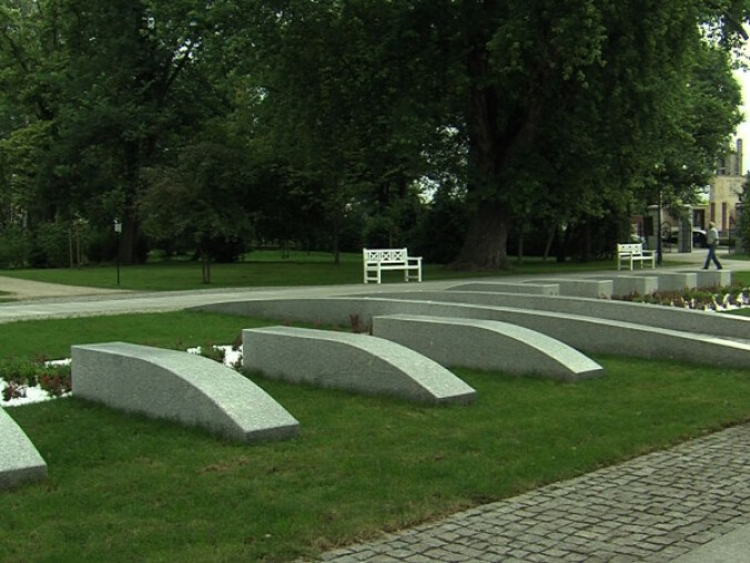 Piękno jest bezcenne - grafika