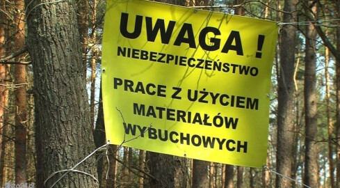 Granat na działce - grafika