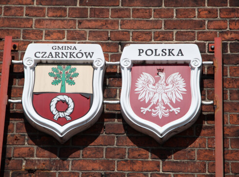 Porozumienie przeciw patologii - grafika