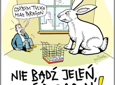 Akcja Skarbówki - grafika