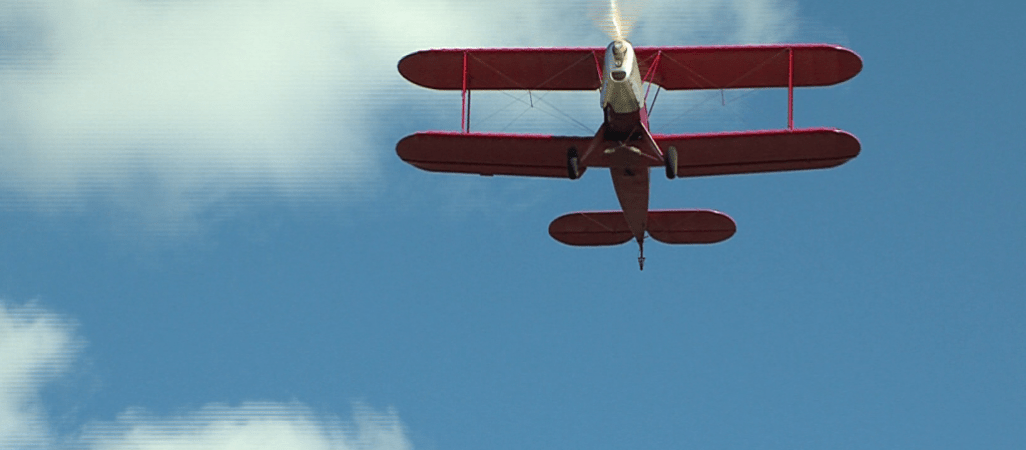 Platzer Kiebitz nad Piłą