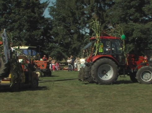 Dożynkowe szaleństwo - grafika