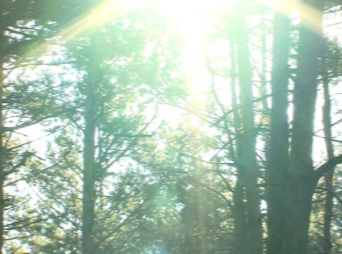 W zdrowym ciele zdrowy duch - grafika