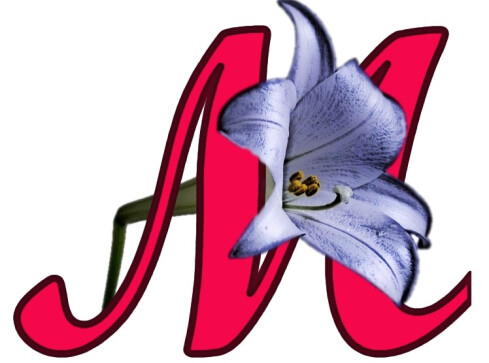 Święto Marii - grafika