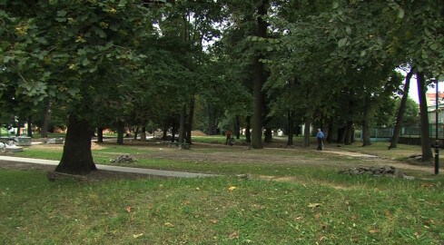 Wymiana międzykulturowa - grafika