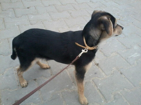 Podaruj pomoc - grafika