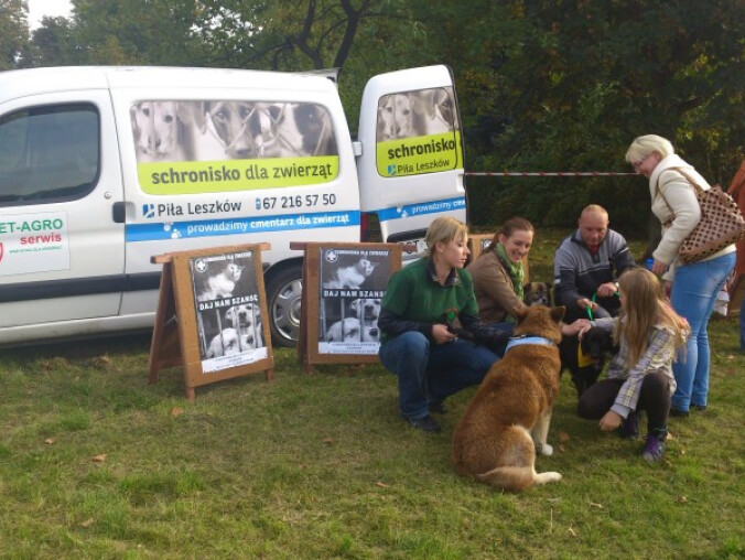 Przygarnij Burka - grafika