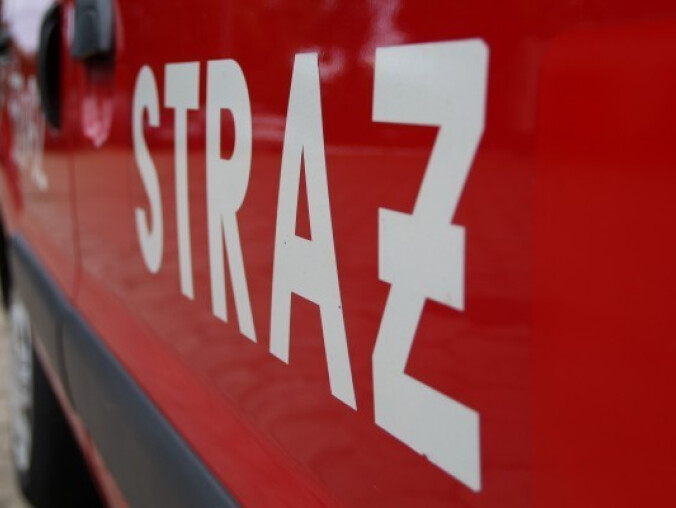 Spalona obora - grafika