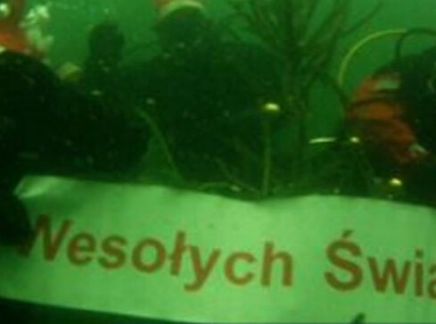 Święta... pod wodą. Choinka stanęła na dnie jeziora [zdjęcia] - grafika