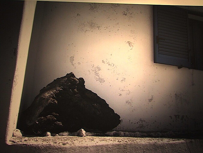 Od finansisty do fotografika... - grafika