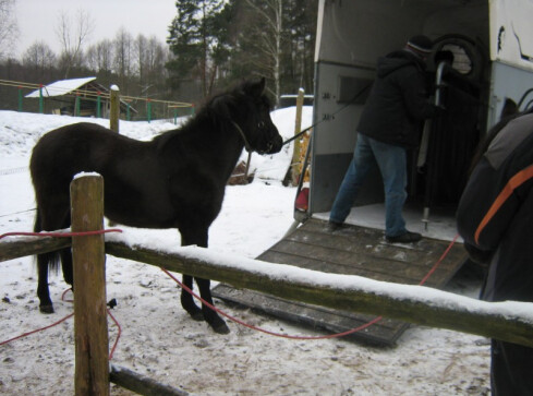 Dahira zmieniła właściciela - grafika