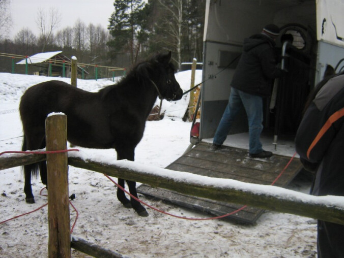 Dahira zmieniła właściciela - grafika