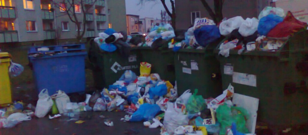 Śmieci "wychodzą" ze śmietnika i to nie tylko przy Bydgoskiej [zdjęcia]