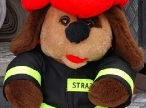 Każdy może zostać strażakiem - grafika