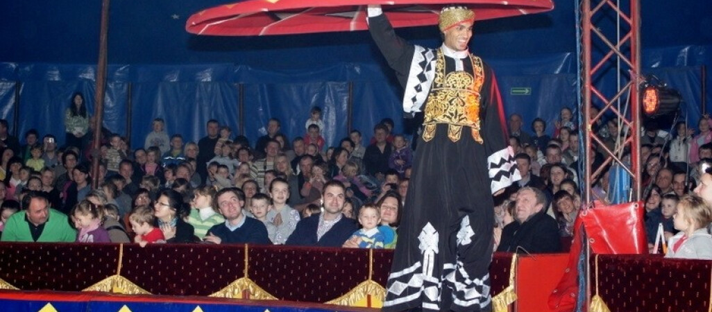 Dla kogo bilety na występ cyrku Arlekin?