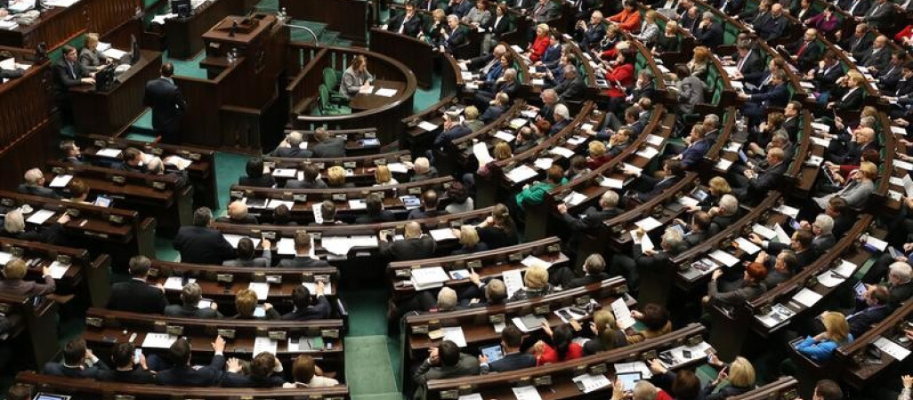 Kijem w mrowisko – Parlamentarzysta czy „załatwiacz”? [FELIETON]