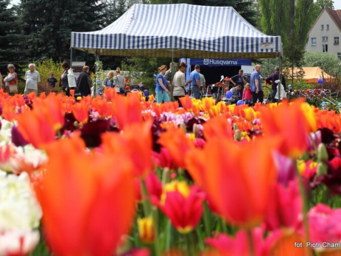 Miasto, ogród i wieś na Wyspie [ZDJĘCIA] - grafika