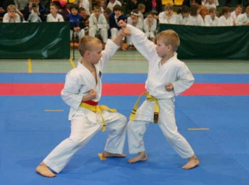 Turniej Karate Shotokan w Krzyżu Wlkp. - grafika