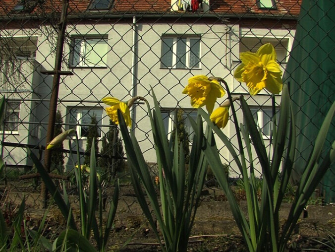 Działki do likwidacji? - grafika