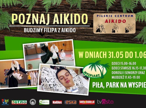 Aikido na pilskiej Wyspie - grafika