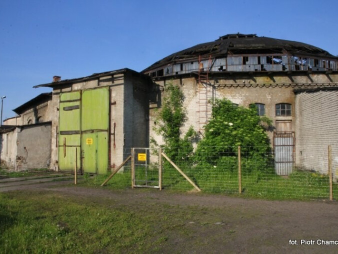 Okrąglak ogrodzony [ZDJĘCIA] - grafika