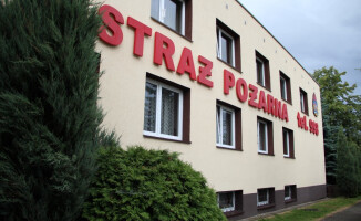 Szejnfeld w europarlamencie?