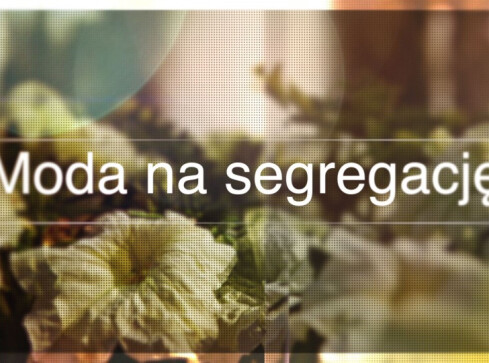 O segregacji i nie tylko - grafika