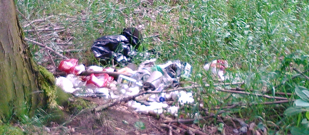 (Nie)porządek na przedmieściach