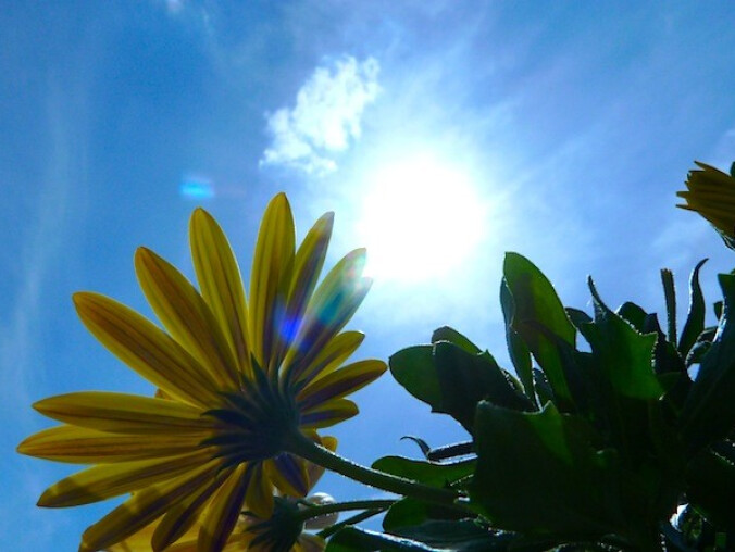 Będzie gorąco! - grafika