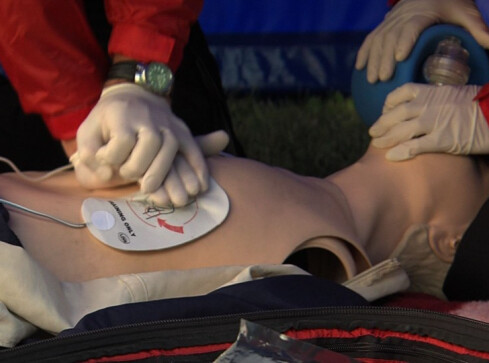 Pilanie najlepsi - grafika