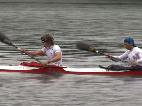 Wałecki gwiazdotwór - grafika