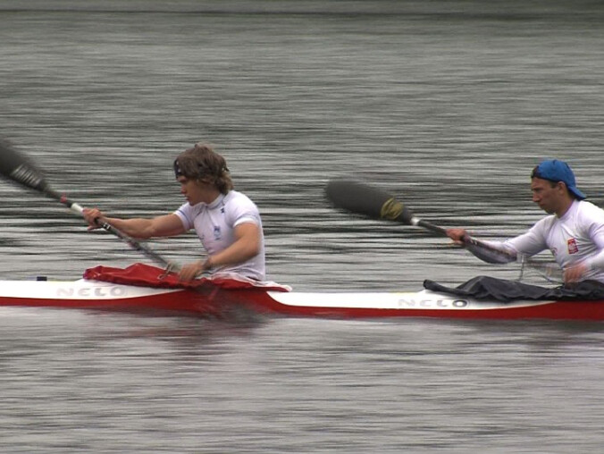 Wałecki gwiazdotwór - grafika