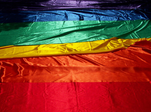 Czy dojdzie do rżnięcia?  - grafika