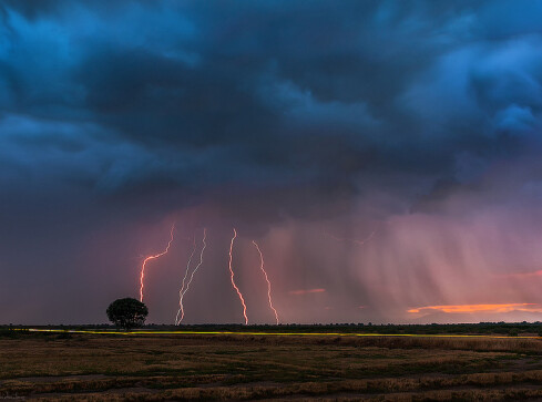 Burzowy tydzień - grafika