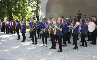 Burza ciskała drzewami