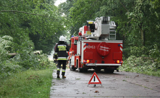 Burza ciskała drzewami