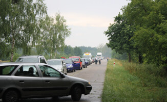 Burza ciskała drzewami