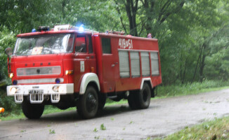 Burza ciskała drzewami