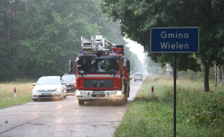 Burza ciskała drzewami