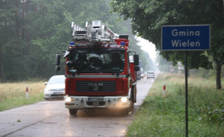 Burza ciskała drzewami