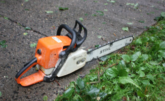 Burza ciskała drzewami