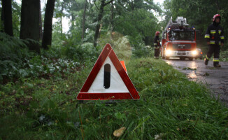 Burza ciskała drzewami