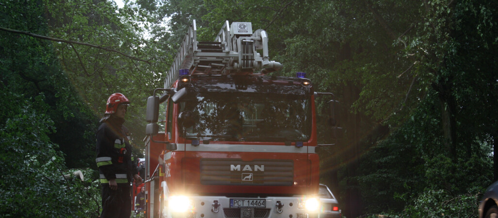 Burza ciskała drzewami