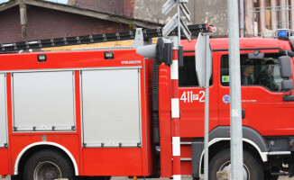 Burza ciskała drzewami