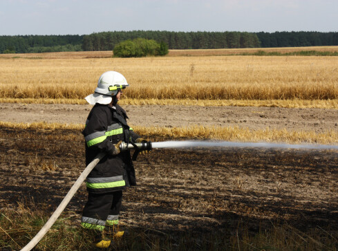  Strażacy z Piły najlepsi w regionie. Będą walczyć o mistrzostwo  - grafika