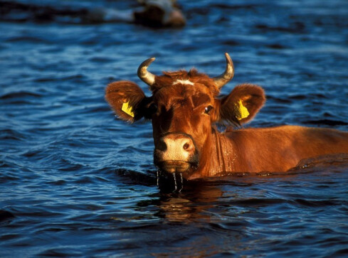 Klatka po klatce – akcja uliczna - grafika